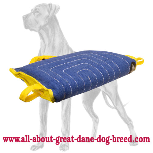 Buy sales great dane