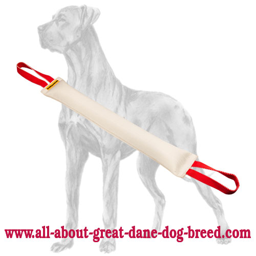 Fire Hose Great Dane Bite Tug With 2 handles