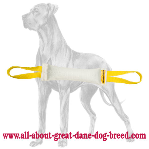 Fire Hose Great Dane Bite Tug with Two Nylon Handles