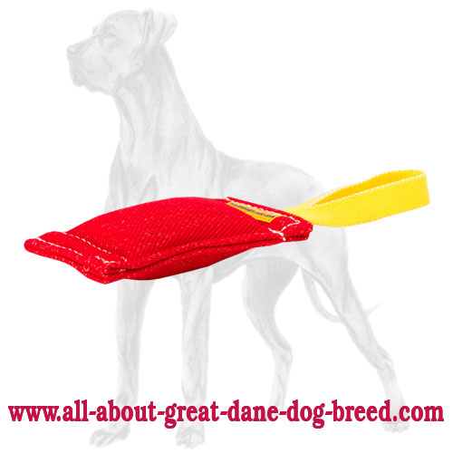 High Quality French Linen Bite Tug for Great Dane