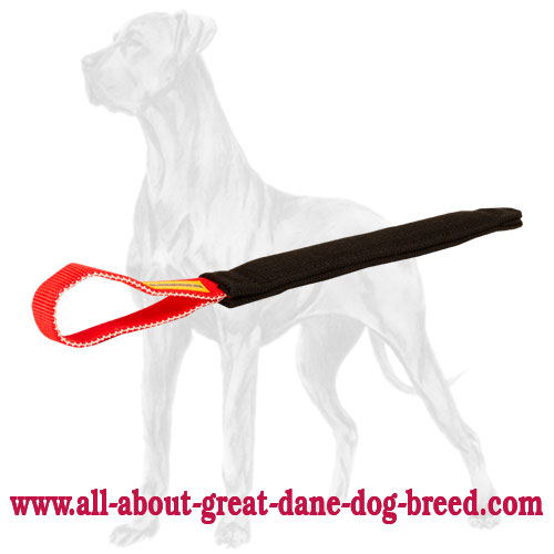Puppy Training Pocket Toy with Handle for Young Great Dane