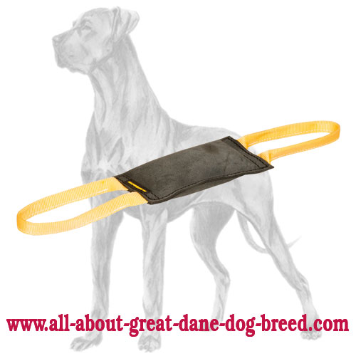 Leather Great Dane Bite Tug for Advanced Puppy/Young Dog Training