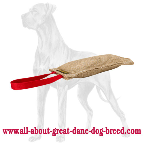 Compact Jute Great Dane Bite Tug with One Handle