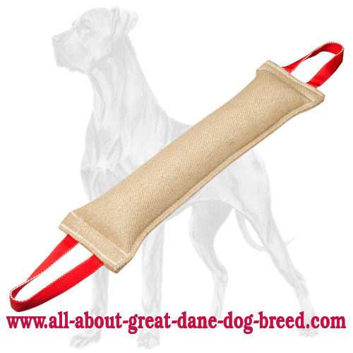 Huge Bite Tug for Training Adult Great Dane