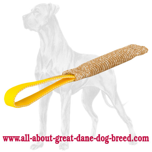 Space-Saving Pocket Jute Great Dane Bite Tug for Puppy Training