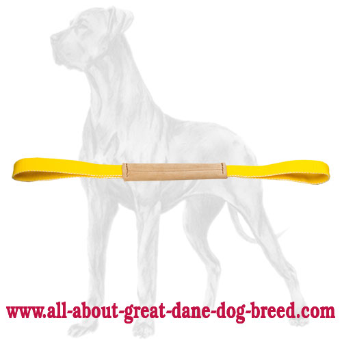 Superior Leather Great Dane Bite Tug for Training