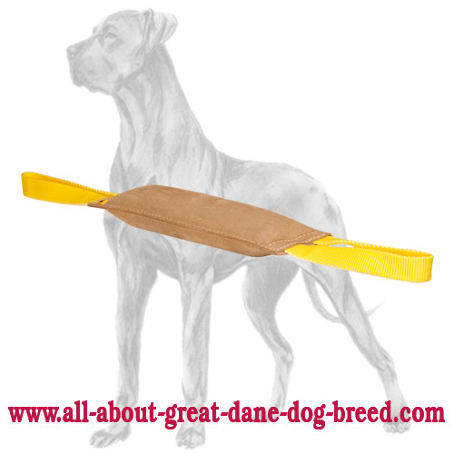 Leather Dog Bite Tug with 2 Nylon Handles for Great Dane