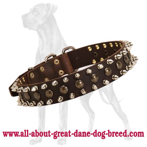 Spiked and Studded Leather Collar for Great Dane Walking