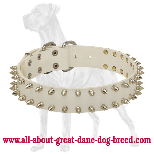 Stunning designer diamond dog collars