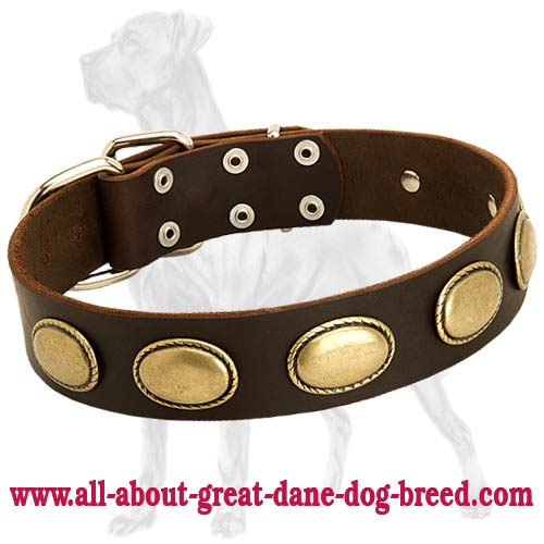 High Quality Leather Dog Collar for Great Dane with Vintage Ovals