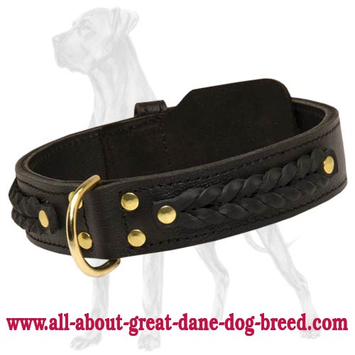 Royal Quality Decorated Genuine Leather Great Dane Collar Great Dane
