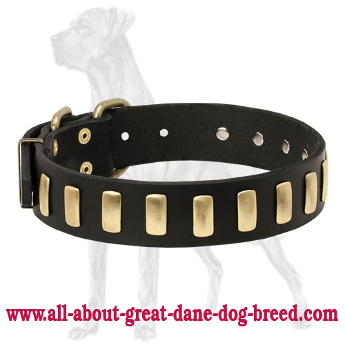Deluxe Great Dane Collar with Brass Plates - Click Image to Close