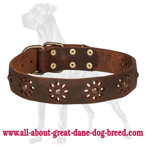 Tremendous Leather Great Dane Collar with Flower Adornments