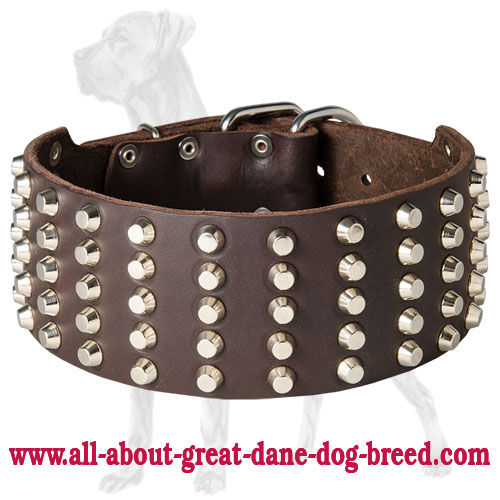 3 Inch Leather Great Dane Collar for Strong Dogs
