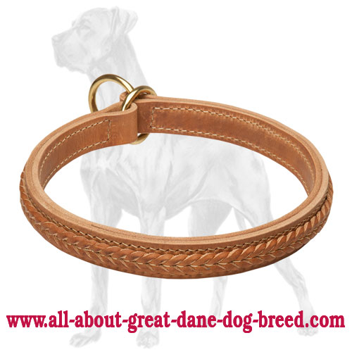 Great Dane Braided Choke Leather Collar