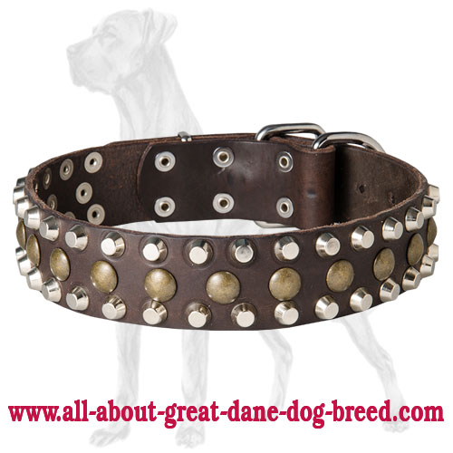Leather Dog Collar with Studs and Pyramids for Great Dane