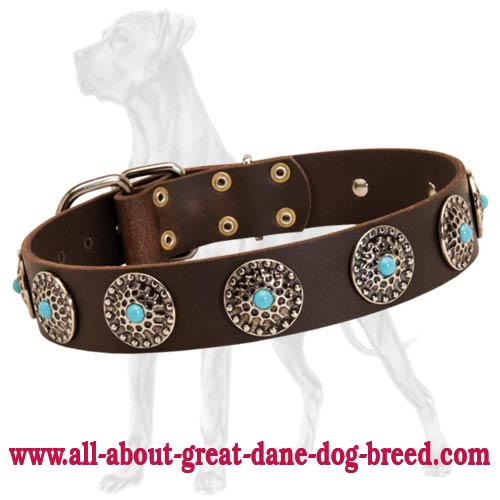Exclusive Decorated Leather Great Dane Collar with Conchos and Blue Stones