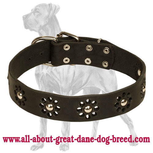 "Elegant Flower" Leather Dog Collar for Great Dane Walking