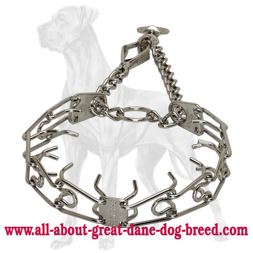 Chrome Plated Great Dane Pinch Collar with Swivel - 1/8 inch (3.25 mm)