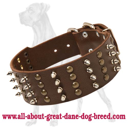 Stylish Luxury Dog Leash Collar and Harness 