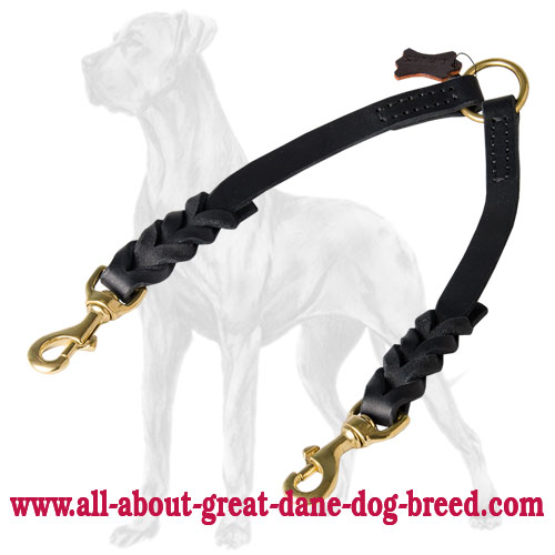 Leather Coupler with Braids for Walking 2 Great Dane Dogs