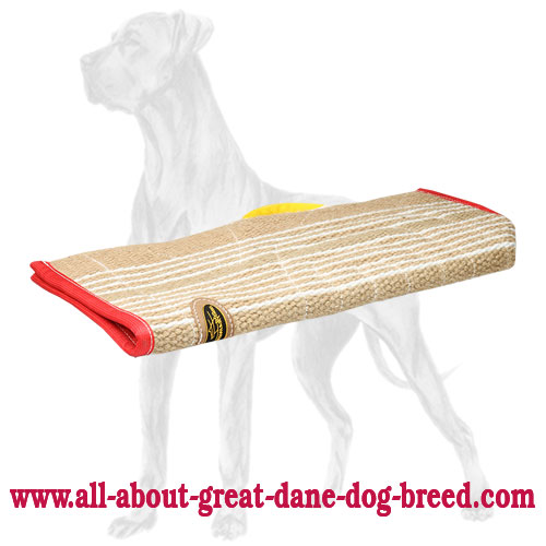 Reliable Great Dane Bite Sleeve Cover of Jute