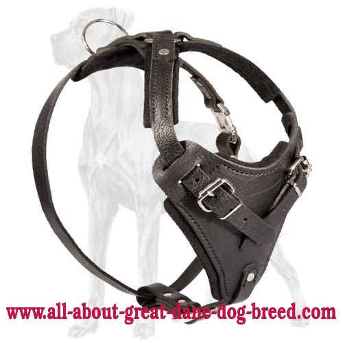 Agitation Training Harness for Great Dane