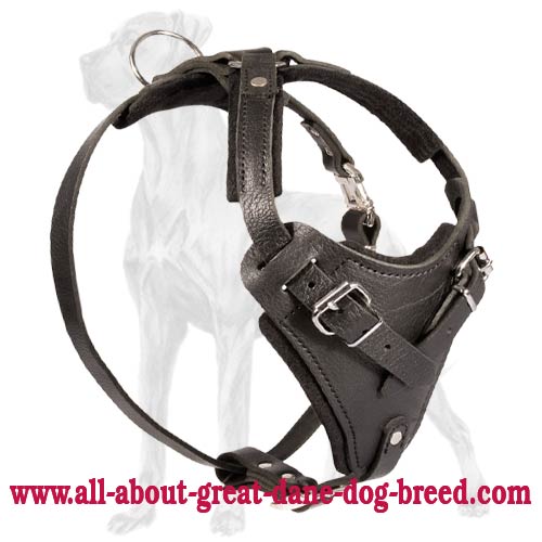 Sturdy Agitation/Protection Leather Dog Harness