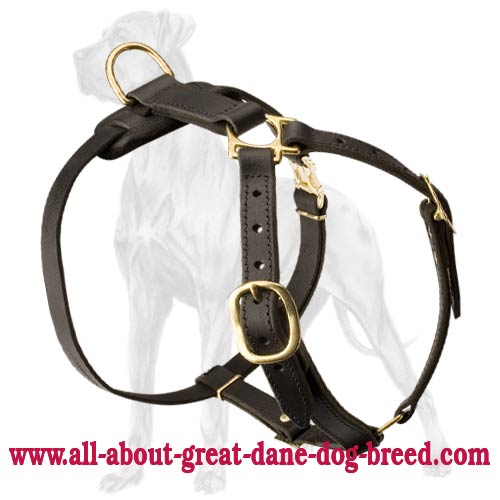 Lightweight Leather Great Dane Harness for Tracking, Pulling, Training - Click Image to Close