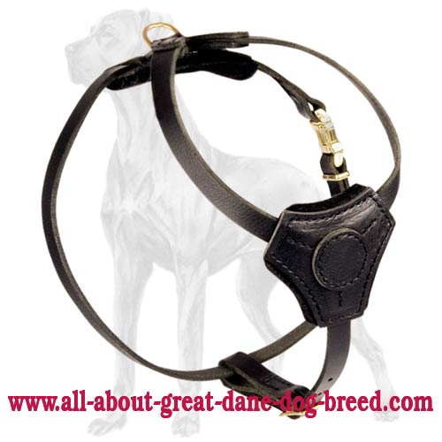 High-Quality Leather Harness for Great Dane Puppy