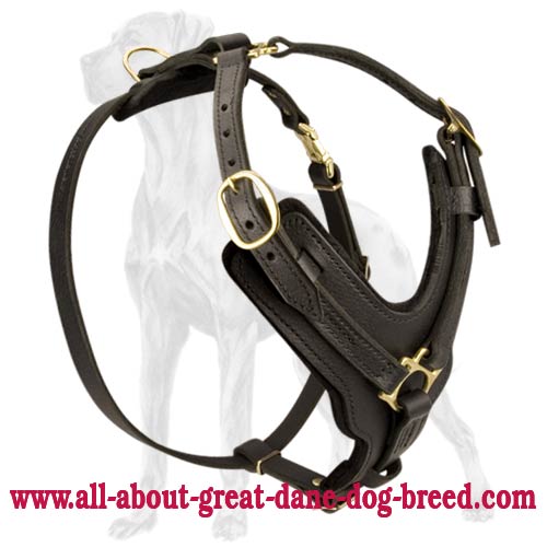 Y-Shaped Leather Harness for Great Dane