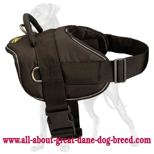 Quick Fit Nylon Great Dane Harness with Quick Release Buckle