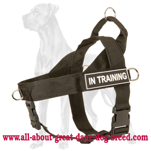 Identification Nylon Great Dane Harness for Different Activities
