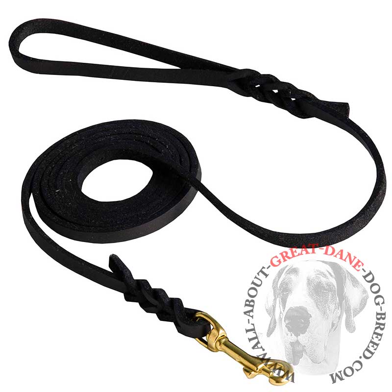 Stylish Long Leather Great Dane Leash with Braids