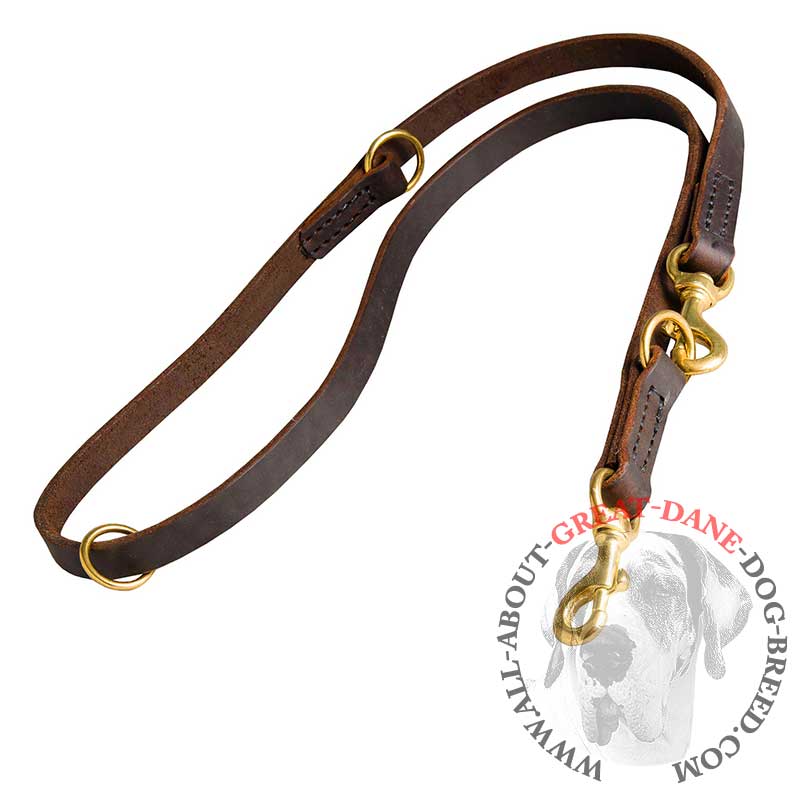 Superior Genuine Leather Leash for Great Dane - Multitask Lead for Great Dane