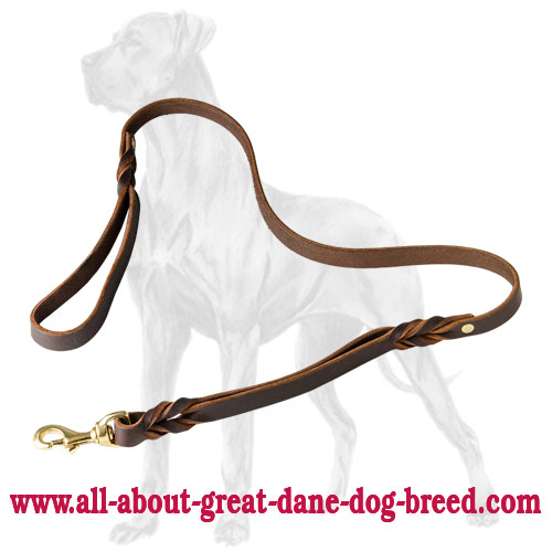 Multitasking Leather Great Dane Leash With 2 Handles - Click Image to Close
