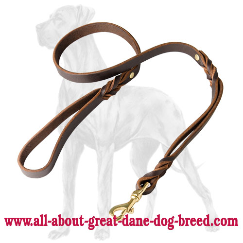 Double Handle Leather Great Dane Leash - 3/4 inch on 5 FT