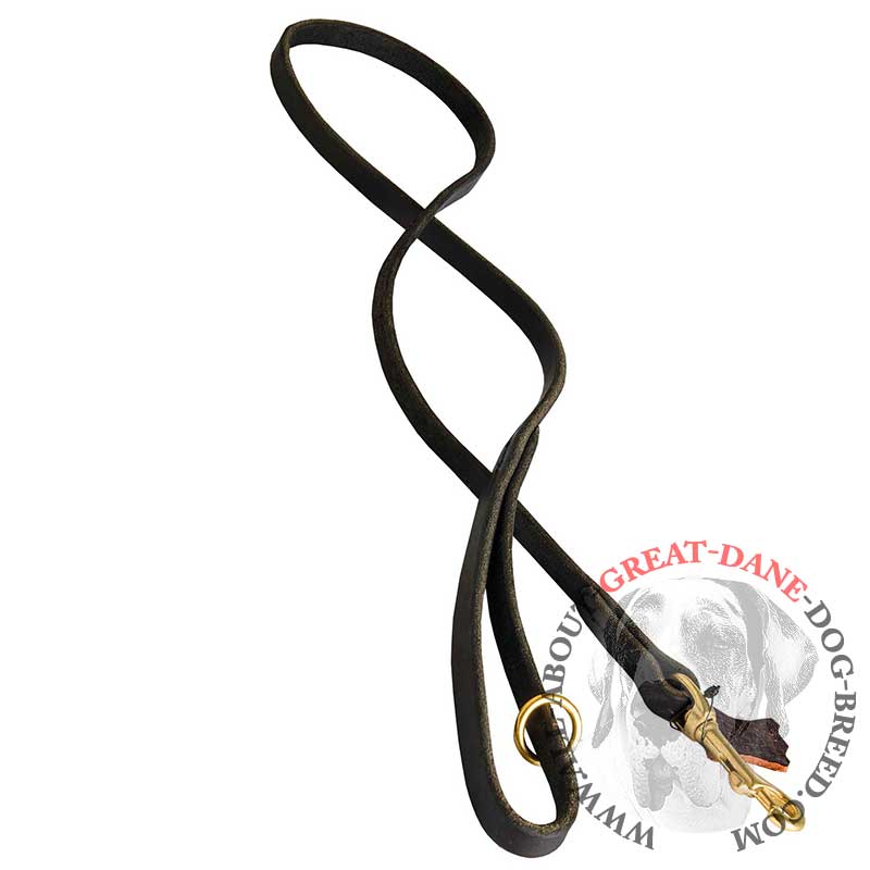 Flat Great Dane Leash with Floating O-Ring