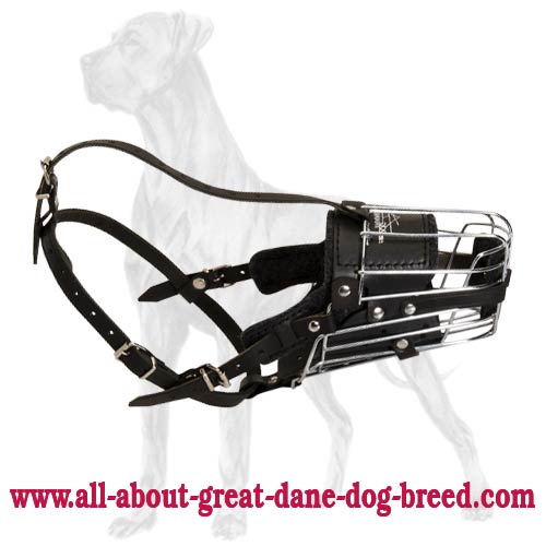 'No Mash' Superior Metal Cage Great Dane Muzzle - Click Image to Close