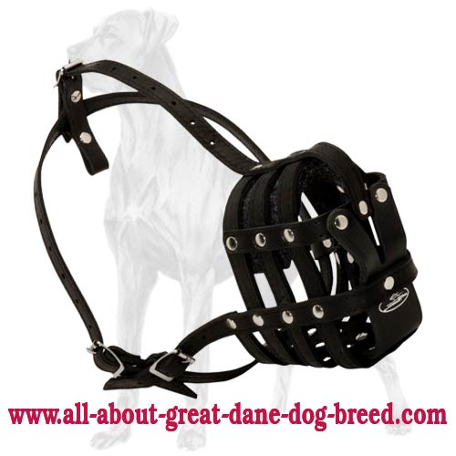 Durable Leather Muzzle Soft Inside for Great Dane - Click Image to Close