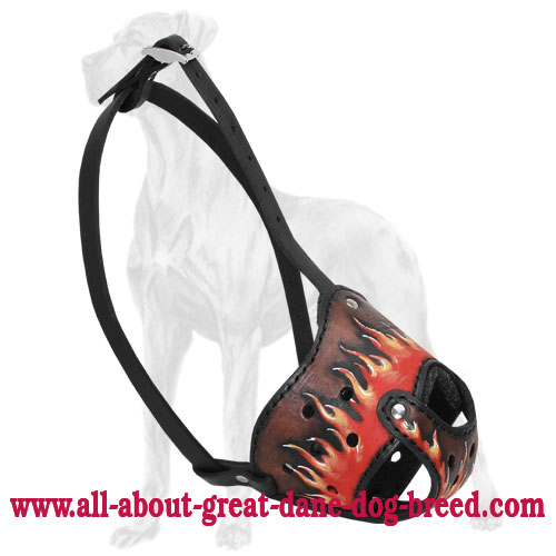 New Exclusive Design Leather Great Dane Muzzle with Handpainted Flames
