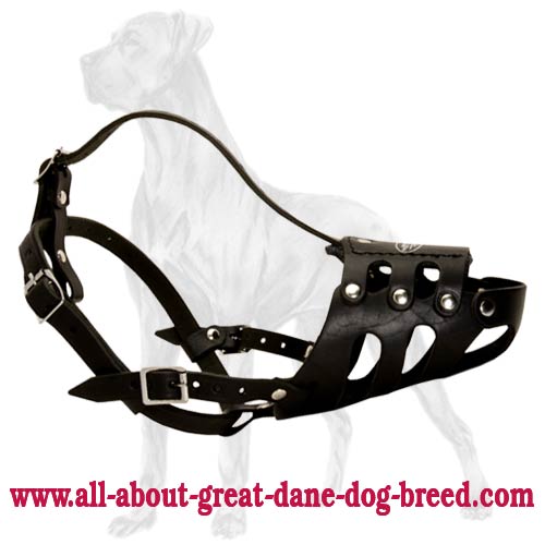 Anti-Barking Genuine Leather Muzzle for Great Dane - Click Image to Close