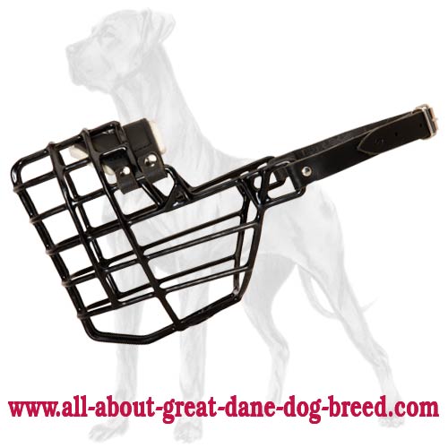 Winter Wire Cage Great Dane Muzzle with Special Cover