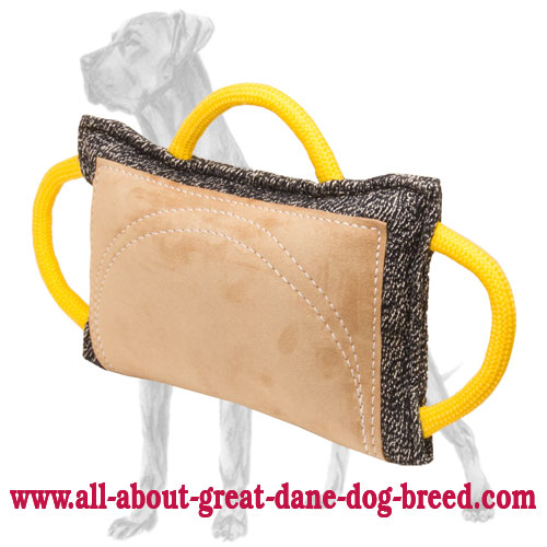 french linen and leather great dane bite pillow for advanced