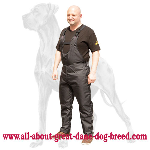 Great Dane Pants Great Dane Pants
