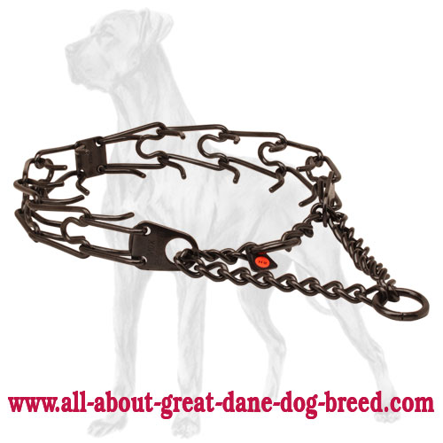 Black Stainless Steel Pinch Collar for Great Dane - 1/8 inch (3.2 mm) - Click Image to Close