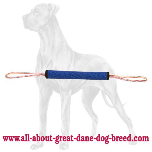 Great Dane Roll for Bite Training