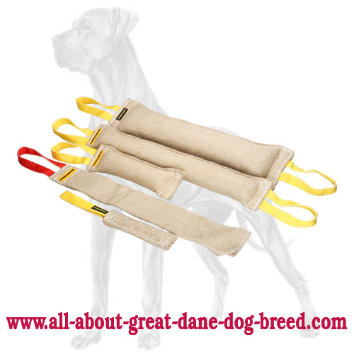 Set of 5 Professional Jute Bite Tools for Great Dane Puppy and Adult Training