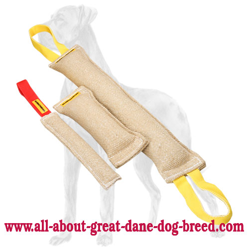 Basic Puppy Training Set of Three Jute Bite Tugs for Great Dane