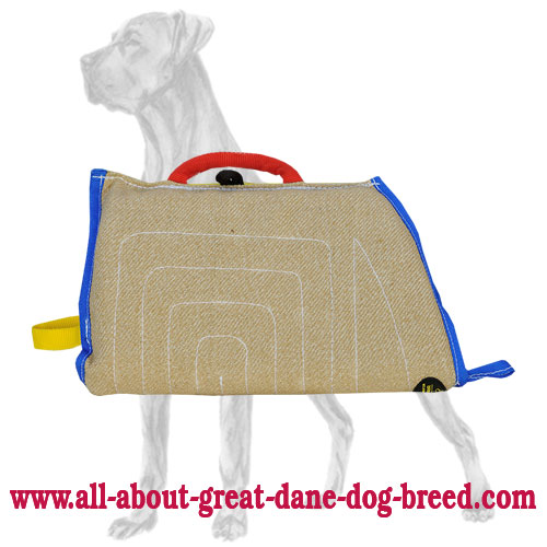 Protection Jute Bite Sleeve for Great Dane Puppy Training - Click Image to Close